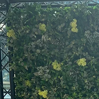 Leen flower wall rental