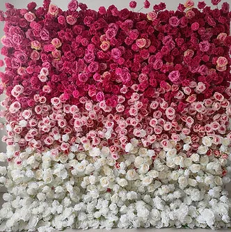 Ombre flower wall rental