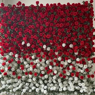 Ruby's Red flower wall rental